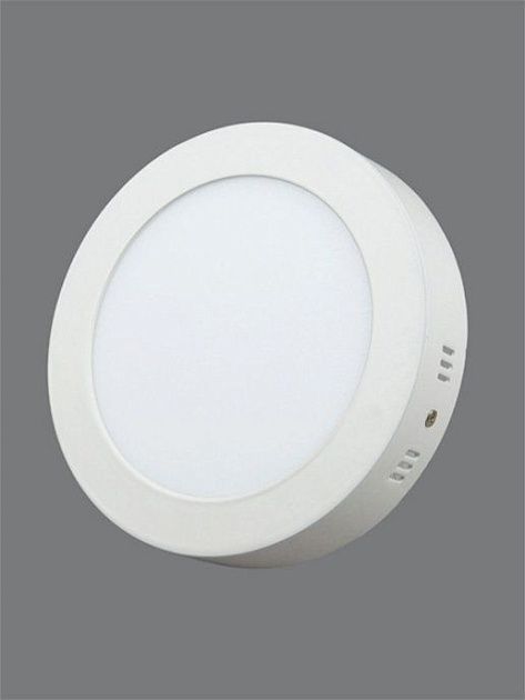 Настенно-потолочный светодиодный светильник Elvan NLS-702R-12W-WW-Wh Фото № 11