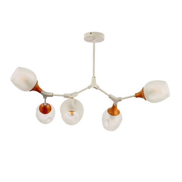 Потолочная люстра Evoluce Ciotolla SLE113502-05 изображение 2 Потолочная люстра Evoluce Ciotolla SLE113502-05 Фото № 2
