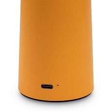 Настольная аккумуляторная лампа Freya Mushroom FR6109TL-L4OR 3
