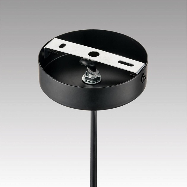 Светильник подвесной Lumion PALERMO 8281/4 Фото № 3