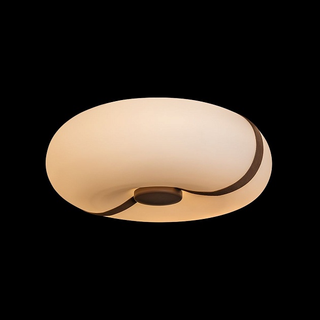 Потолочный светильник Loft IT Bolina 10473 изображение 4 Потолочный светильник Loft IT Bolina 10473 Фото № 4