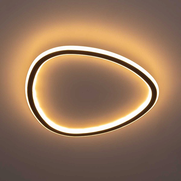 Потолочная люстра Citilux CL215B241E Фото № 14