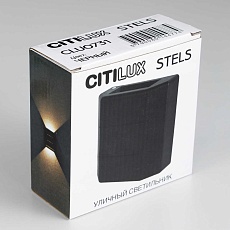 Уличный настенный светильник Citilux CLU0731 1
