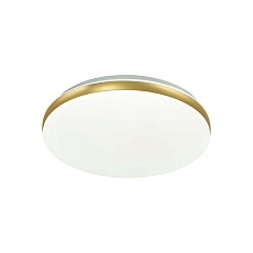 Настенно-потолочный светодиодный светильник Sonex Ringo 7626/DL 3