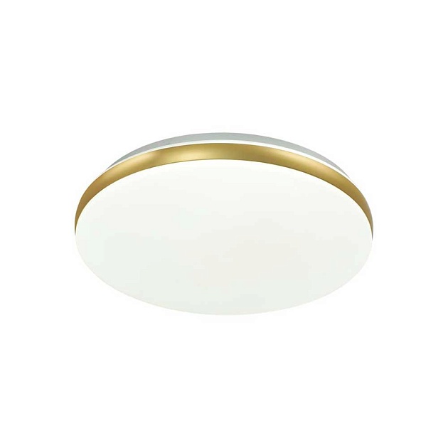 Настенно-потолочный светодиодный светильник Sonex Ringo 7626/DL Фото № 4