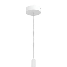Подвесной светильник ST Luce ST614.503.06 1