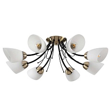 Потолочная люстра Lumion Comfi Eliana 4592/8C