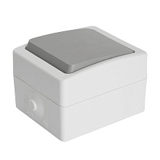 Выключатель одноклавишный Stekker Велена белый/серый PSW10-211-54 49731 4