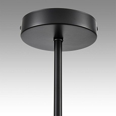 Потолочная люстра Lumion County Tidina 8238/6C 3
