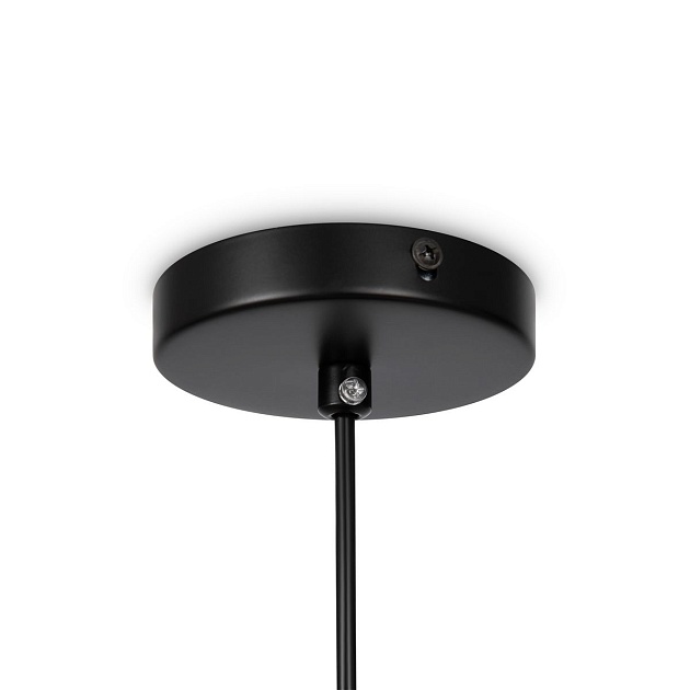 Подвесной светильник Freya Eleon FR5218PL-01B1 Фото № 2