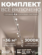 Встраиваемая однофазная трековая система Hesby Lighting Skylite №3 со светильниками HSBL_kompl_S003_VI4W3K