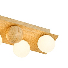 Потолочный светодиодный светильник F-Promo Swarm 4695-5C 1