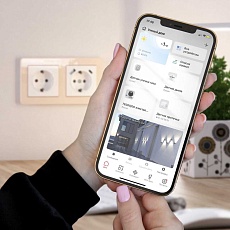 Датчик газа Wi-Fi Elektrostandard 76250/00 4690389186837 3