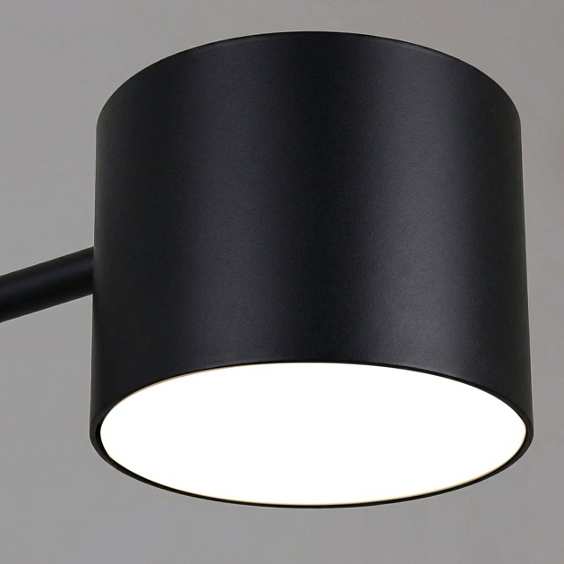 Потолочная люстра Reluce 47206-0.3-06BK Фото № 2