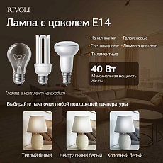 Настольная лампа Rivoli Naomi 7551-501 Б0070139 1