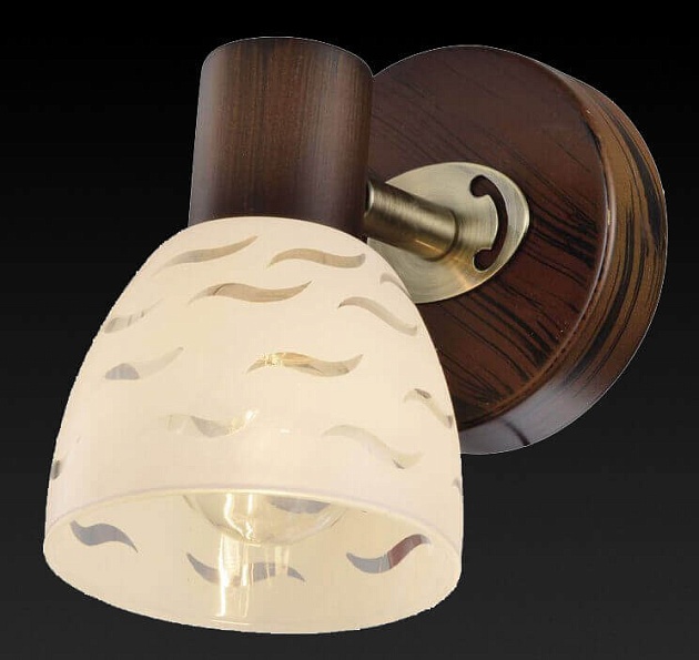 Спот Toplight Shayla TL3730Y-01BB изображение 2 Спот Toplight Shayla TL3730Y-01BB Фото № 2