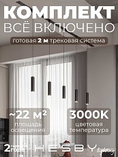 Встраиваемая однофазная трековая система Hesby Lighting Skylite №12 со светильниками HSBL_kompl_S012_VI2B3K