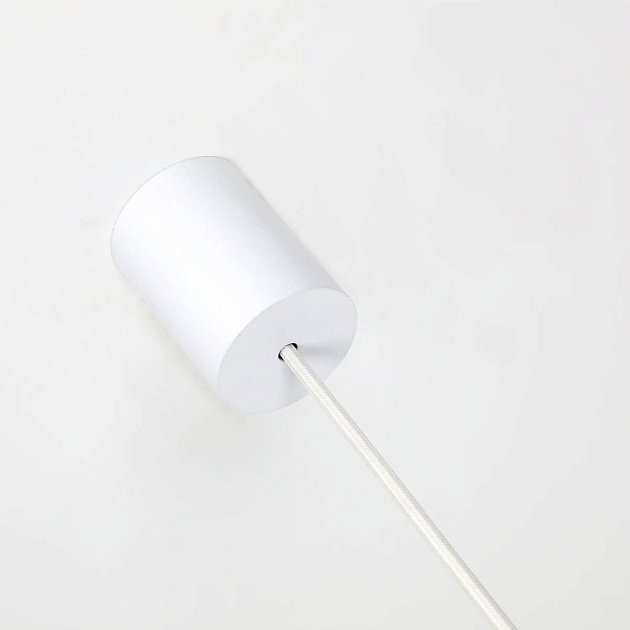 Подвесной светильник Favourite Kinescope 2453-1P изображение 2 Подвесной светильник Favourite Kinescope 2453-1P Фото № 2