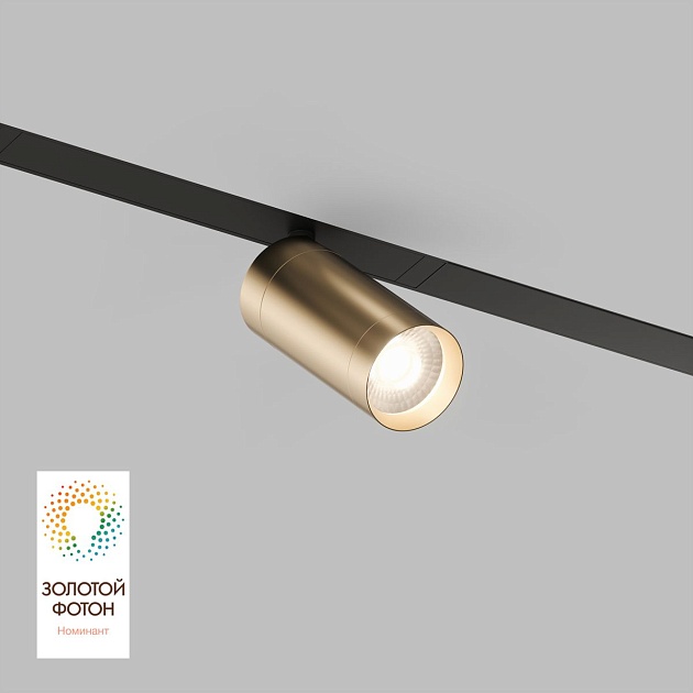 Трековый светодиодный светильник Denkirs Smart Spot DK8010-BG изображение 1 Трековый светодиодный светильник Denkirs Smart Spot DK8010-BG Фото № 1