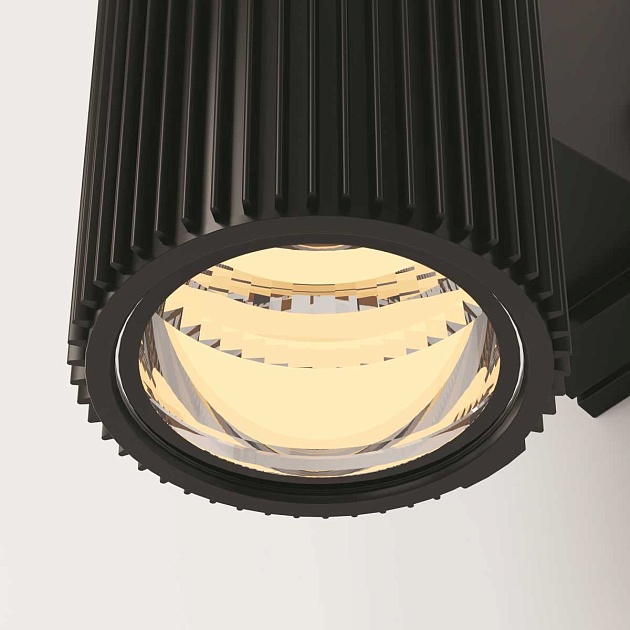 Настенный светильник Maytoni Outdoor O419WL-02B Фото № 13