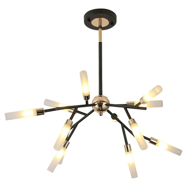 Подвесная люстра Lussole Loft Astoria GRLSP-8332 Фото № 1