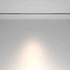 Трековый светильник Maytoni Technical TR232-2-15W4K-B 1