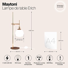 Настольная лампа Maytoni Erich MOD221-TL-01-G 1