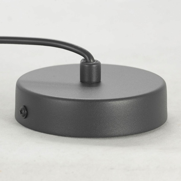 Подвесной светильник Lussole Loft LSP-8489 Фото № 6