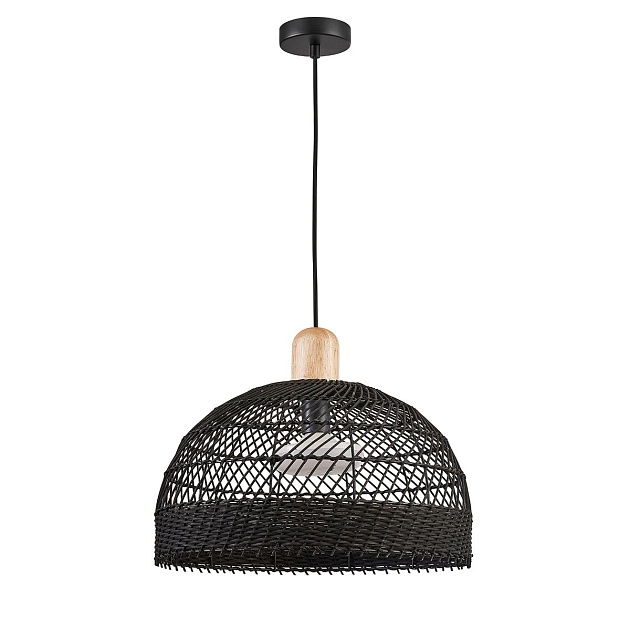 Подвесной светильник Favourite Plat 4461-1P изображение 1 Подвесной светильник Favourite Plat 4461-1P Фото № 1