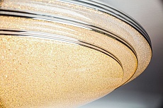 Потолочный светодиодный светильник Escada 10268/S LED 5