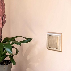 Клавиша Werkel для выключателя перекрестного шампань рифленый W1119010 4690389160127 4