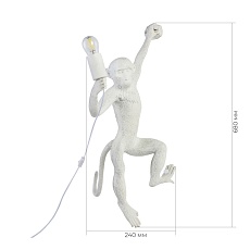 Бра Evoluce Tenato SLE115111-01 2