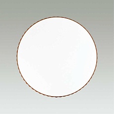 Настенно-потолочный светодиодный светильник Sonex Pale Dina amber 2078/EL 2