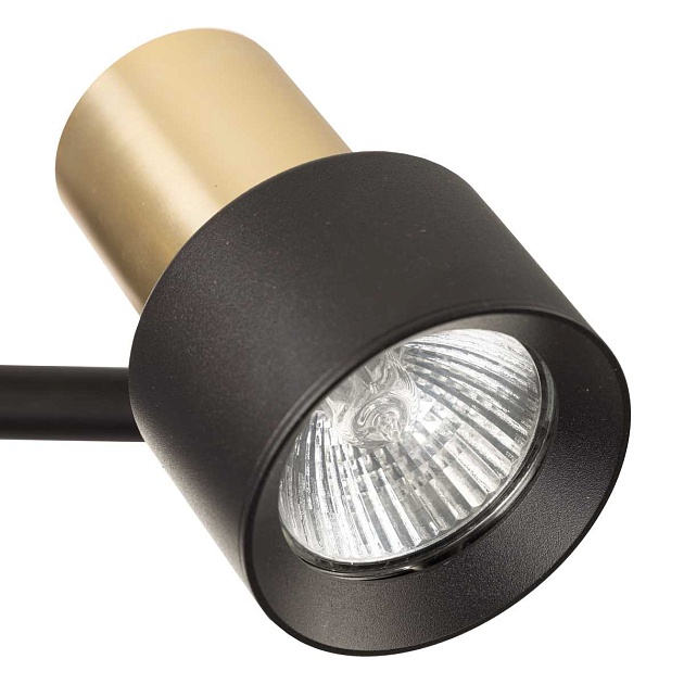 Спот поворотный Citilux SAT CL505621 изображение 7 Спот поворотный Citilux SAT CL505621 Фото № 7