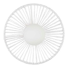 Настенный светильник Evoluce LOOM SLE6022-501-01 4