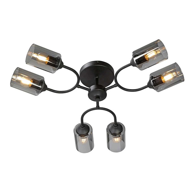 Потолочная люстра Vitaluce V2823-1/6PL Фото № 1