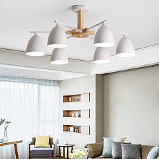 Потолочная люстра Imperium Loft Noa 6 Mint 183467-26 5