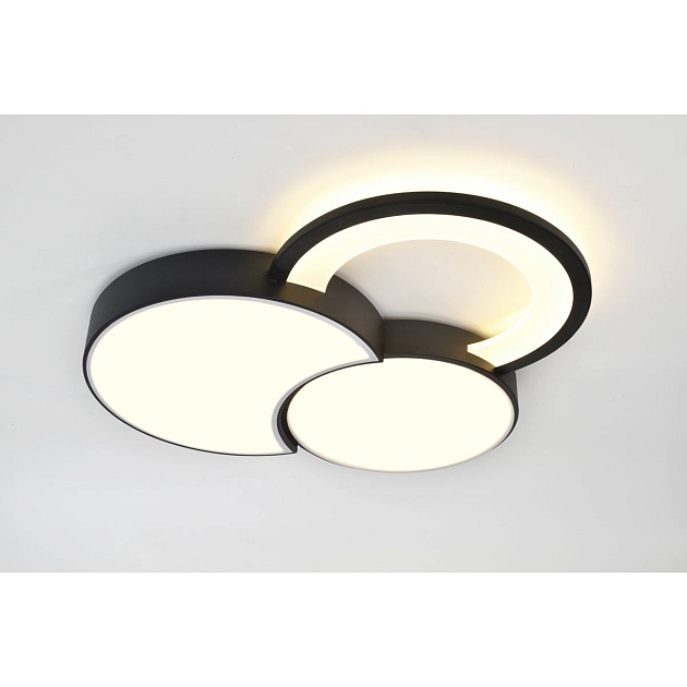 Потолочный светодиодный светильник Rivoli Aliona 6161-702 Б0066452 Фото № 9