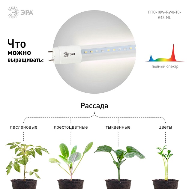 Лампа светодиодная для растений ЭРА G13 18W 1200K прозрачная Fito-18W-Ra90-Т8-G13-NL Б0042987 фото 4