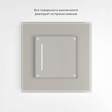 Сенсорный выключатель одноклавишный с подсветкой Werkel дымчатый W4512014 4690389213854 5