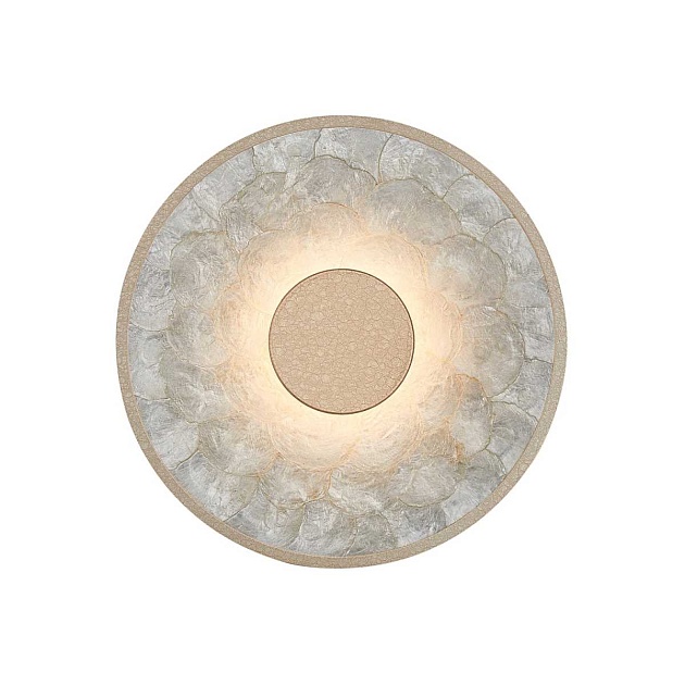 Настенный светильник Favourite Solarius 4858-1W Фото № 1