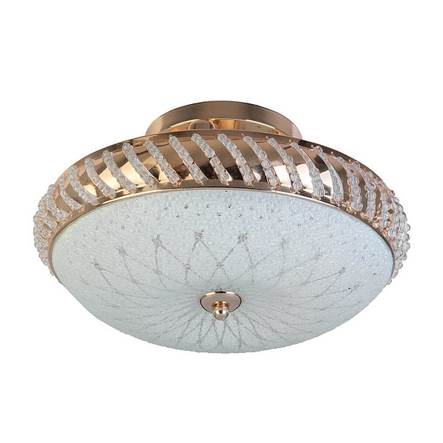Накладной светильник Toplight Loreen TL1490Y-03GC Фото № 1