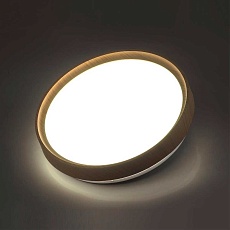 Настенно-потолочный светодиодный светильник Sonex Woodi 7603/CL 4