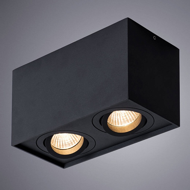 Потолочный светильник Arte Lamp Factor A5544PL-2BK Фото № 3