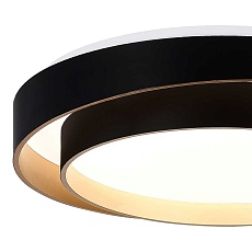 Потолочный светодиодный светильник Evoluce Crosby SLE6009-402-01 1