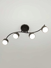 Спот Rivoli Vanessa 7074-704 Б0069925 3