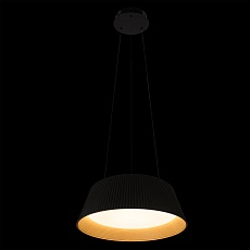 Подвесной светильник LOFT IT Evans 10224P Black 1
