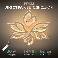 Потолочная светодиодная люстра Rivoli Teodora 6149-106 Б0066418 5