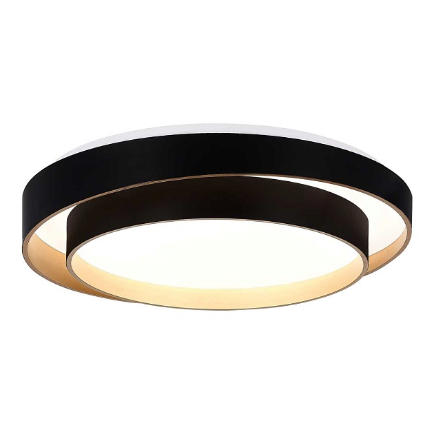 Потолочный светодиодный светильник Evoluce Crosby SLE6009-402-01 изображение 1 Потолочный светодиодный светильник Evoluce Crosby SLE6009-402-01 Фото № 1
