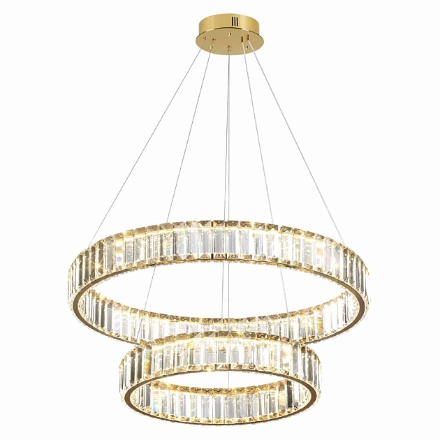 Подвесной светодиодный светильник Odeon Light Vekia 5015/60L фото 5